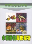 素描局部解析(手的画法)/基础绘画局部解析 pdf epub mobi 电子书 下载