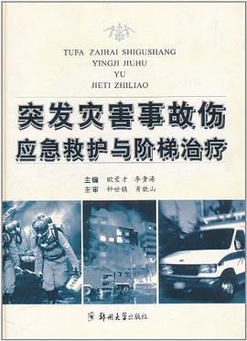 突发灾害事故伤应急救护与阶梯治疗 pdf epub mobi 电子书 下载