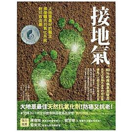 接地氣 pdf epub mobi 电子书 下载