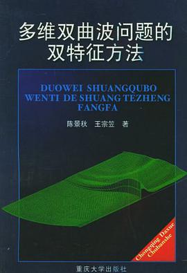 多维双曲波问题的双特征方法 pdf epub mobi 电子书 下载