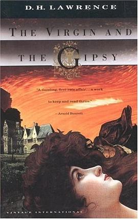 The Virgin and the Gipsy pdf epub mobi 电子书 下载