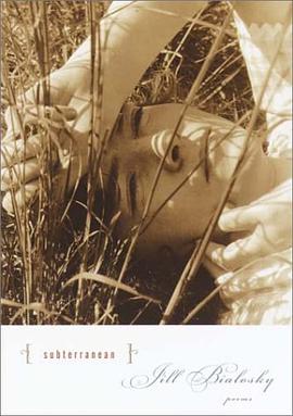 Subterranean pdf epub mobi 电子书 下载