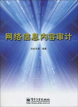 网络信息内容审计 pdf epub mobi 电子书 下载