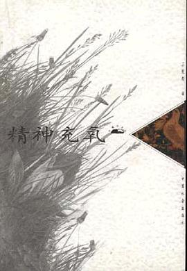 精神充氧 pdf epub mobi 电子书 下载
