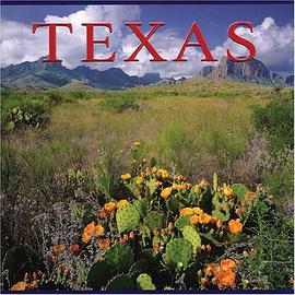 Texas pdf epub mobi 电子书 下载