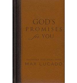 God's Promises for You pdf epub mobi 电子书 下载