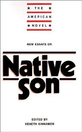 New Essays on Native Son (The American Novel) pdf epub mobi 电子书 下载