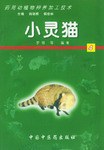小靈貓 pdf epub mobi 電子書 下載