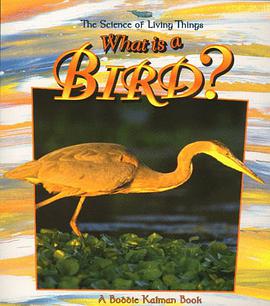 What is a Bird? pdf epub mobi 电子书 下载
