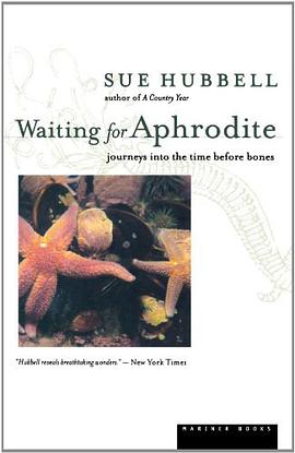 Waiting for Aphrodite pdf epub mobi 电子书 下载
