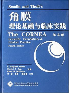 角膜理论基础与临床实践 pdf epub mobi 电子书 下载