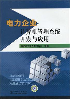 电力企业计算机管理系统开发与应用 pdf epub mobi 电子书 下载