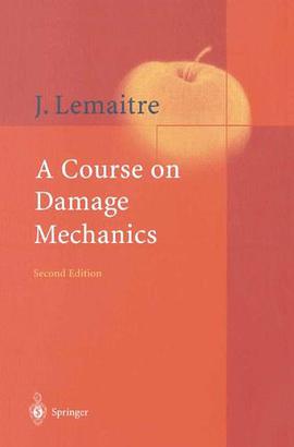 A Course on Damage Mechanics pdf epub mobi 電子書 下載