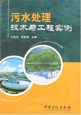 污水处理技术与工程实例 pdf epub mobi 电子书 下载