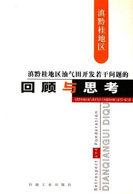 滇黔桂地区油气田开发若干问题的回顾与思考 pdf epub mobi 电子书 下载