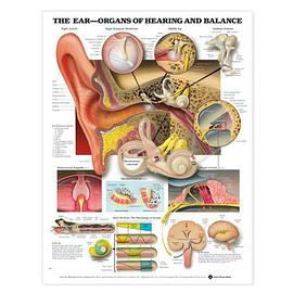 The Ear pdf epub mobi 电子书 下载