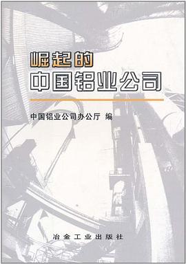 崛起的中國鋁業公司 pdf epub mobi 電子書 下載