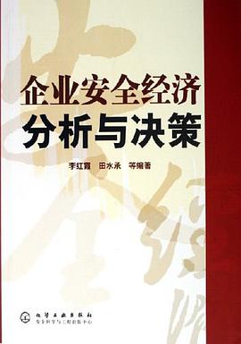 企业安全经济分析与决策 pdf epub mobi 电子书 下载
