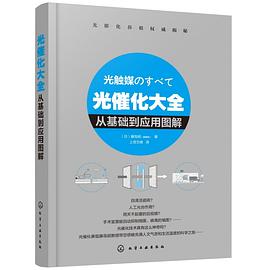 光催化大全(从基础到应用图解) pdf epub mobi 电子书 下载