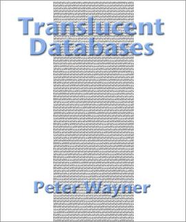 Translucent Databases pdf epub mobi 电子书 下载