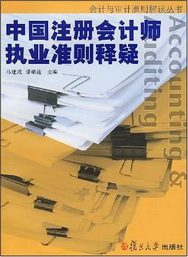中国注册会计师执业准则释疑 pdf epub mobi 电子书 下载