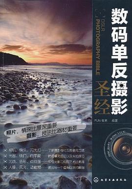 数码单反摄影圣经 pdf epub mobi 电子书 下载
