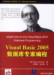 Visual Basic 2005数据库专家编程
