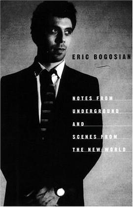 Notes from Underground pdf epub mobi 电子书 下载