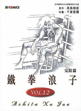 鐵拳浪子(12) pdf epub mobi 电子书 下载