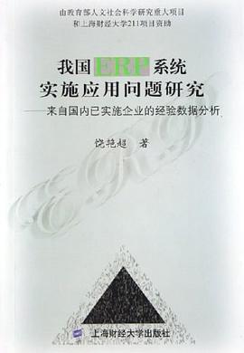 我国ERP系统实施应用问题研究 pdf epub mobi 电子书 下载