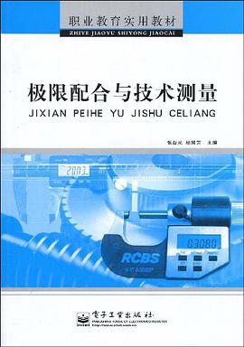 極限配閤與技術測量 pdf epub mobi 電子書 下載