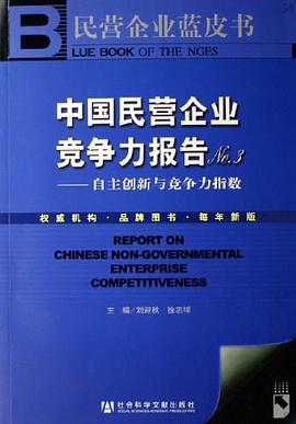 中国民营企业竞争力报告No.3 pdf epub mobi 电子书 下载