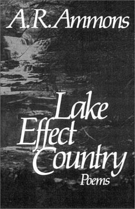 Lake Effect Country pdf epub mobi 电子书 下载