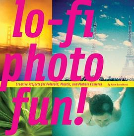 Lo-Fi Photo Fun! pdf epub mobi 下载
