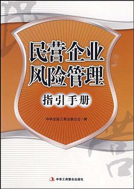 民营企业风险管理指引手册 pdf epub mobi 电子书 下载
