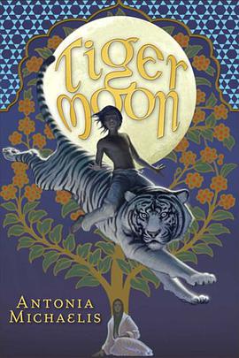 Tiger Moon pdf epub mobi 电子书 下载