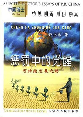 惩罚中的觉醒 pdf epub mobi 电子书 下载