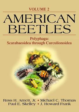 American Beetles