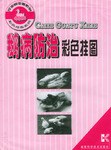 鵝病防治彩色掛圖 pdf epub mobi 下载