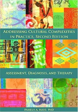 Addressing Cultural Complexities in Practice pdf epub mobi 電子書 下載