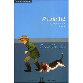 苦儿流浪记 pdf epub mobi 电子书 下载