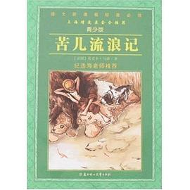 苦儿流浪记 pdf epub mobi 电子书 下载