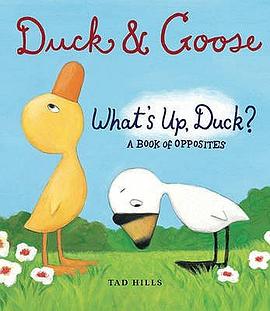 A Book of Opposites Duck and Goose