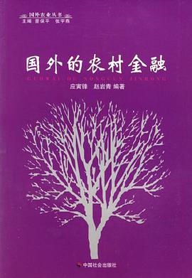 国外的农村金融 pdf epub mobi 电子书 下载