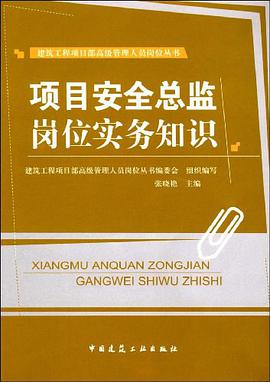 项目安全总监岗位实务知识 pdf epub mobi 电子书 下载