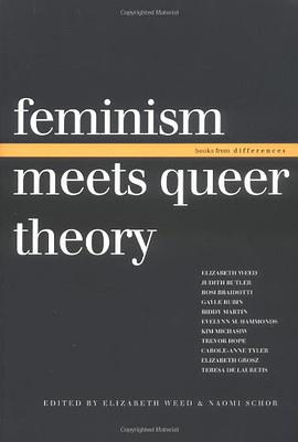 Feminism Meets Queer Theory pdf epub mobi 电子书 下载