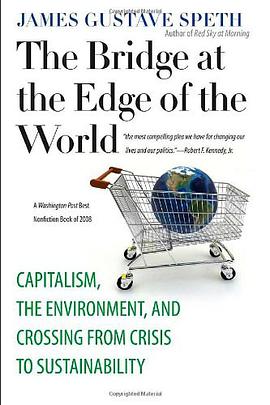 The Bridge at the Edge of the World pdf epub mobi 电子书 下载