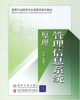 管理信息系统原理 pdf epub mobi 电子书 下载