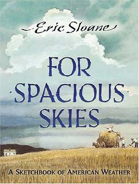 For Spacious Skies pdf epub mobi 电子书 下载