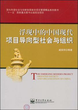 浮现中的中国现代项目导向型社会与组织 pdf epub mobi 电子书 下载